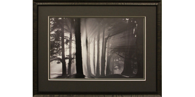Ч/б фотография с темным паспарту в деревянном багете