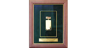 Оформление золотой медали в высоком деревянном багете с бархатным паспарту и музейным стеклом